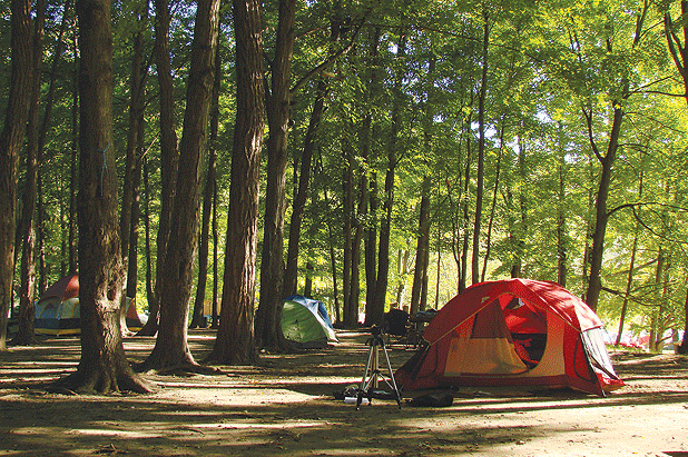 Contact Eco Adventure India