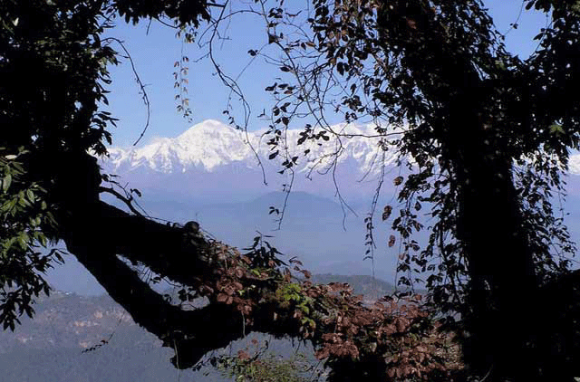 Eco Adventure India